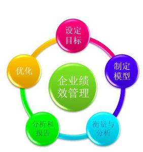 企業(yè)績效管理軟件開發(fā) 驅(qū)動(dòng)組織卓越的關(guān)鍵引擎