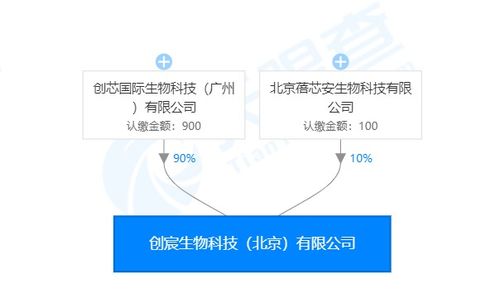創(chuàng)宸生物獲創(chuàng)芯國(guó)際戰(zhàn)略加持，以類器官技術(shù)引領(lǐng)個(gè)體化醫(yī)療新紀(jì)元